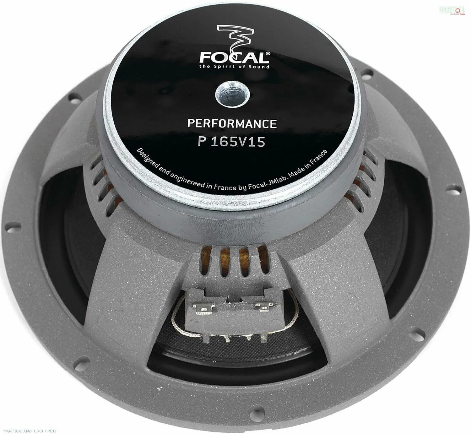 Focal performance 165. Focal Performance p 165. Focal p165 v15. Колонки Focal 165. P 165v15.