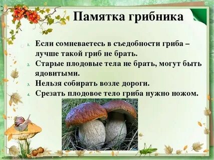 Почему грибы вкусные