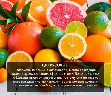 Какие фрукты есть на диете