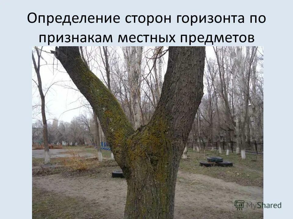 Определение сторон горизонта по местным предметам. Способы ориентирования по местным признакам. Как определить стороны горизонта по местным. 5 способов определения сторон света по местным признакам. Определение сторон горизонта по местным предметам.