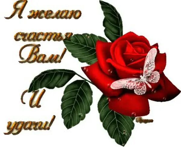 Благодарю удачи. Вы супер открытки. Стикеры с цветами и надписями. Красивые Стикеры для друзей. Красивые Стикеры с пожеланиями