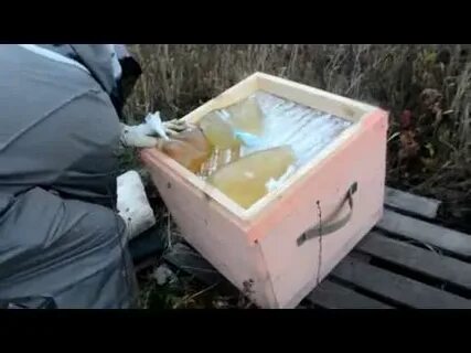 Сироп для пчел осенью