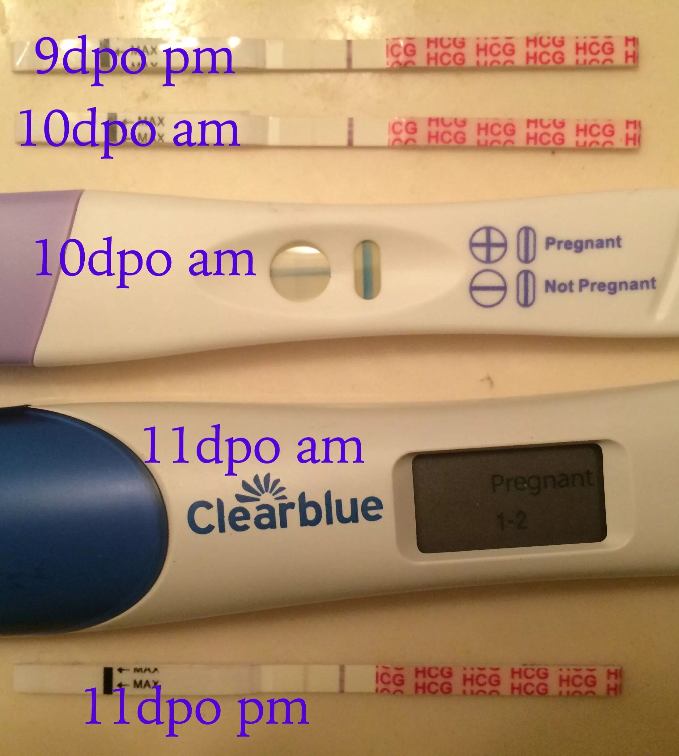 За сколько дней до месячных покажет тест. Цифровой тест на беременность Clearblue 9дпо. Электронный тест клеар Блю 11 ДПО. 10 ДПО тест на беременность клеар Блю. Электронный тест на беременность Clearblue покажет беременность на 11 ДПО.