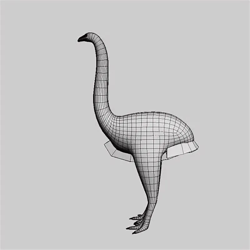 Моа кит. Моа 3д. 3d модель птицы моа. моа птица лого маскот. моа контур.