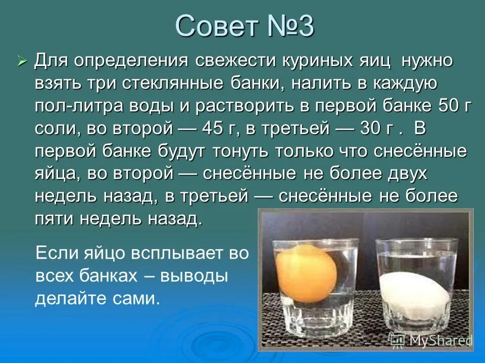 Свежести число. Определение свежести куриных яиц. Свежесть яиц в воде с солью. Определение свежести яиц в воде. Определение свежести яиц в воде с солью.