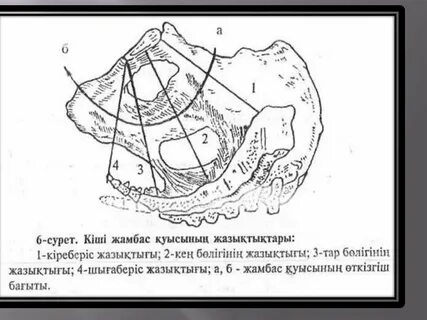 Рождествода күйеуі әйеліне қара порно береді