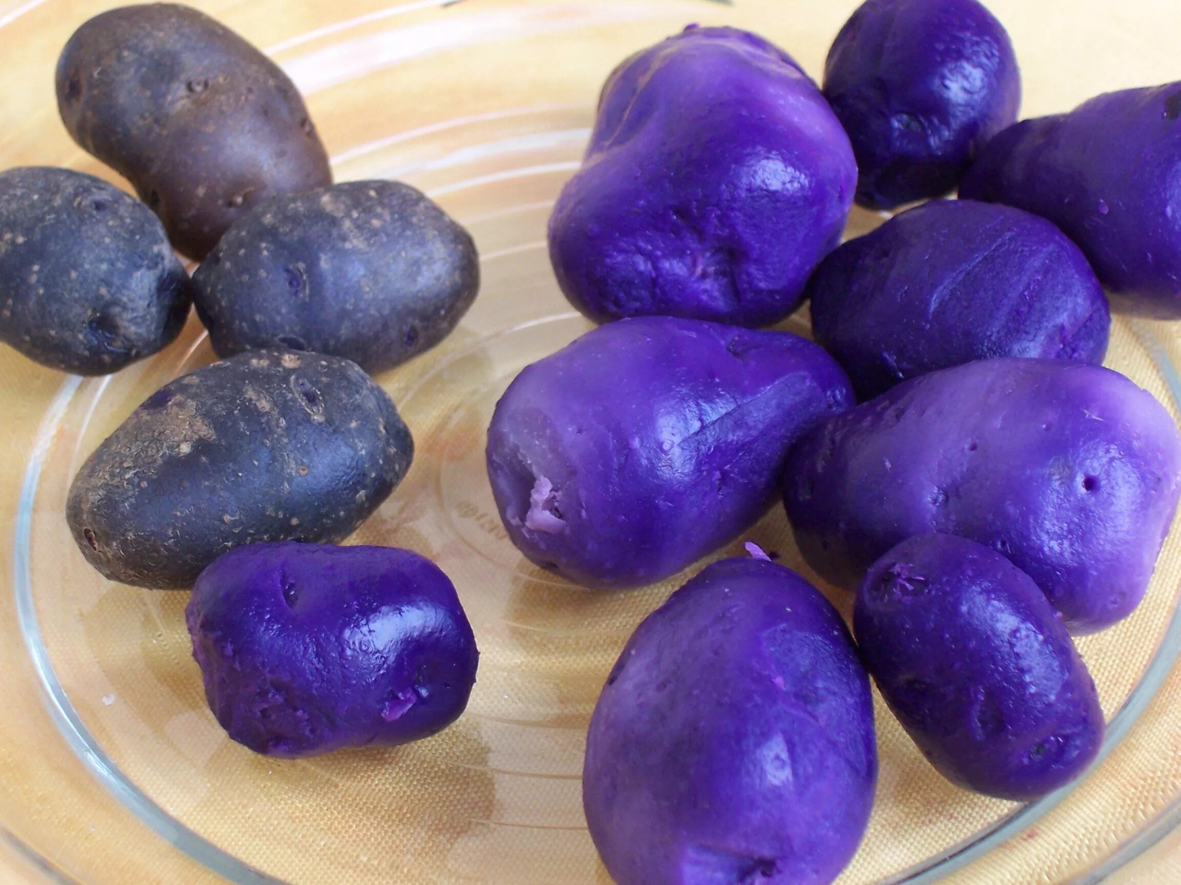 Картошка овощ или фрукт. Вителот фиолетовый картофель. Сорт картофеля перуанский фиолетовый (Purple Peruvian). Картофель Пурпл Конго. Сорт картофеля Linzer blaue.