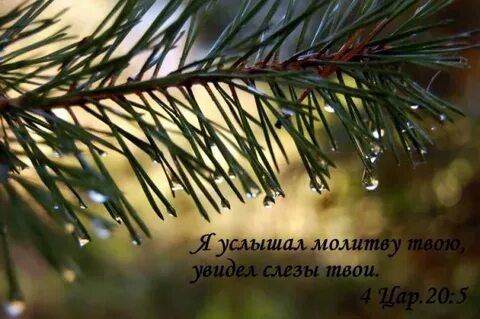 Услышавший услышит видящий