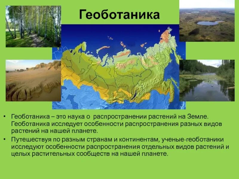 Термин геоботаника. Геоботаника. геоботаника это наука о. геоботаника презентация. геоботаника это в биологии.