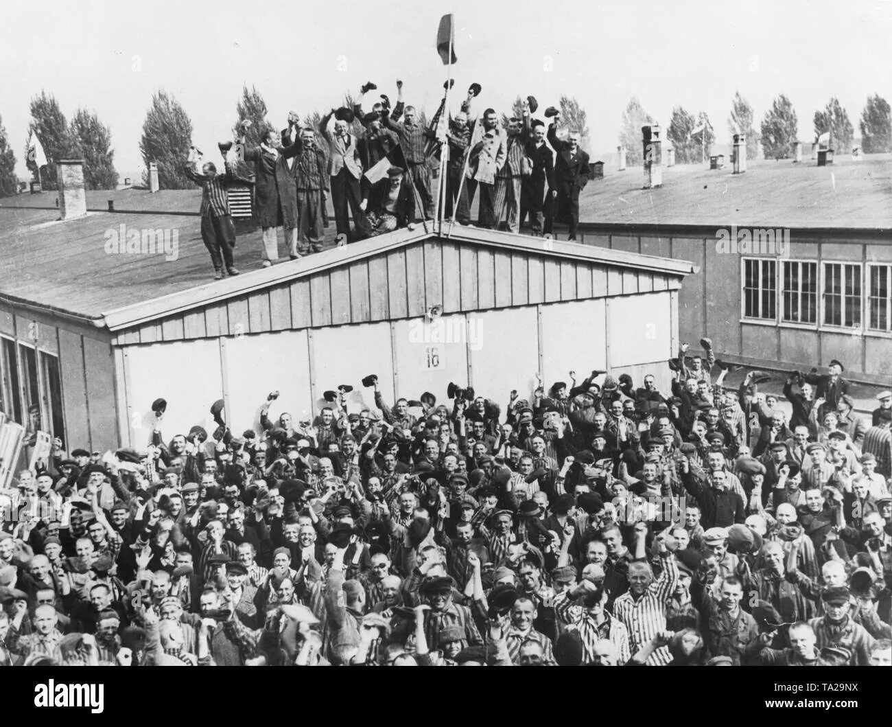 Concentration camp. Освобождение лагеря Дахау. Концлагерь Дахау в Германии освобождение. Дахау концентрационный лагерь. Узники Дахау лагеря Дахау.