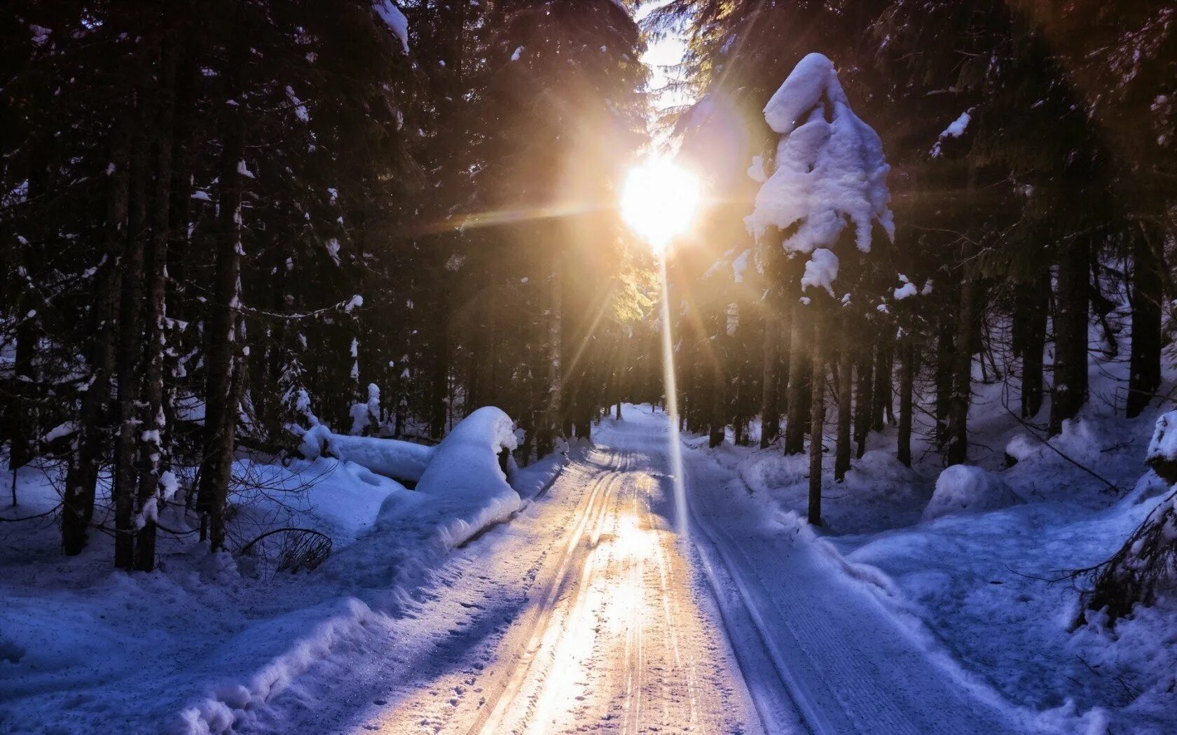 Дорога белела освещенная месяцем. Зимняя дорога. Зимняя дорога в лесу. Снежная дорога в лесу. Зимние обои.