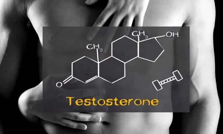 Тестостерон отпускаю. Тестостерон. Молекула тестостерона. Тестостерон гормон. Тестостерон картинки.