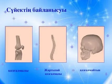 Қызықты порно видео