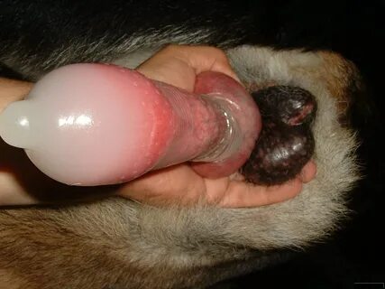 Slideshow cumming animal dicks.