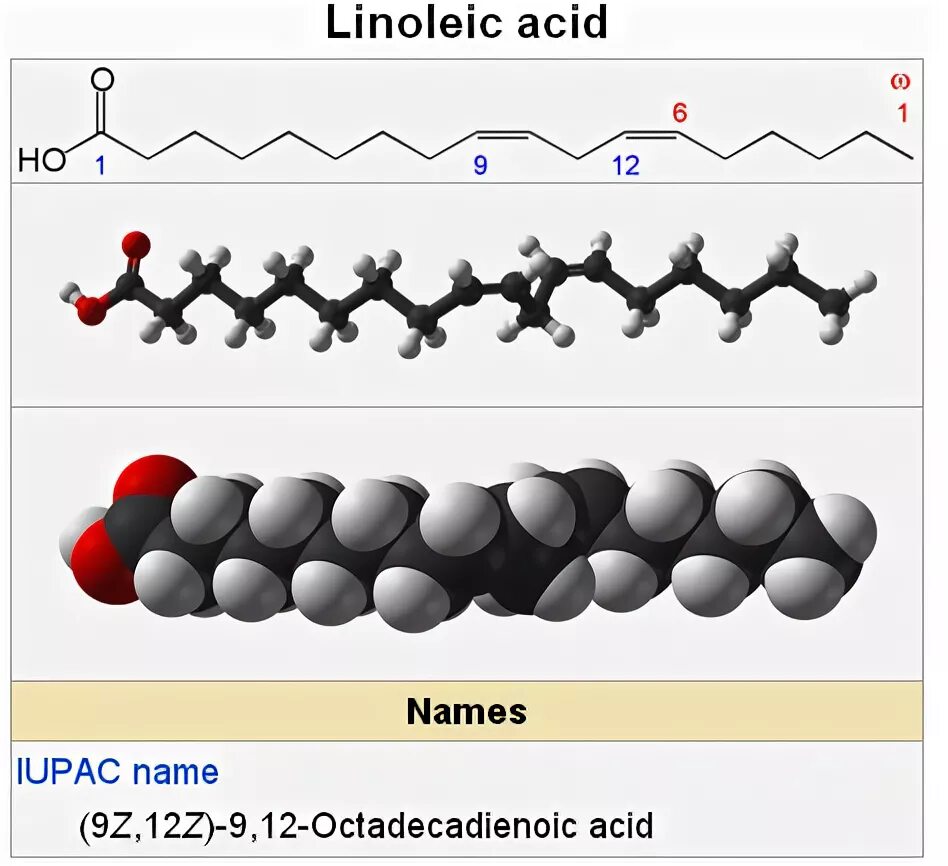 Линолевая и линоленовая кислоты. Linoleic acid mass-spectrum. Linoleic acid. Омега 6 формула химическая. Cla effects.