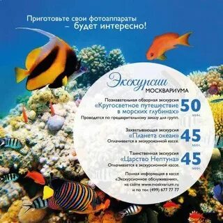 Москвариум сертификат