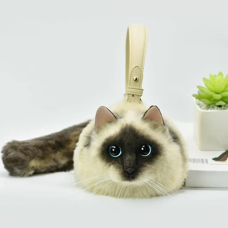 Cat styled. Cat styled