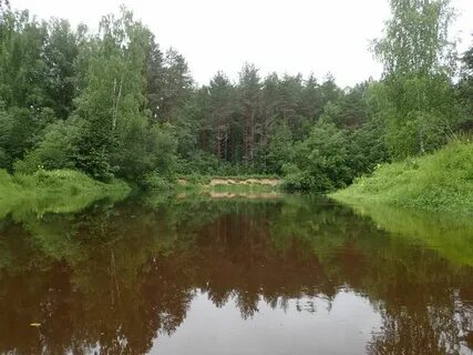 Новгородская область тверская область