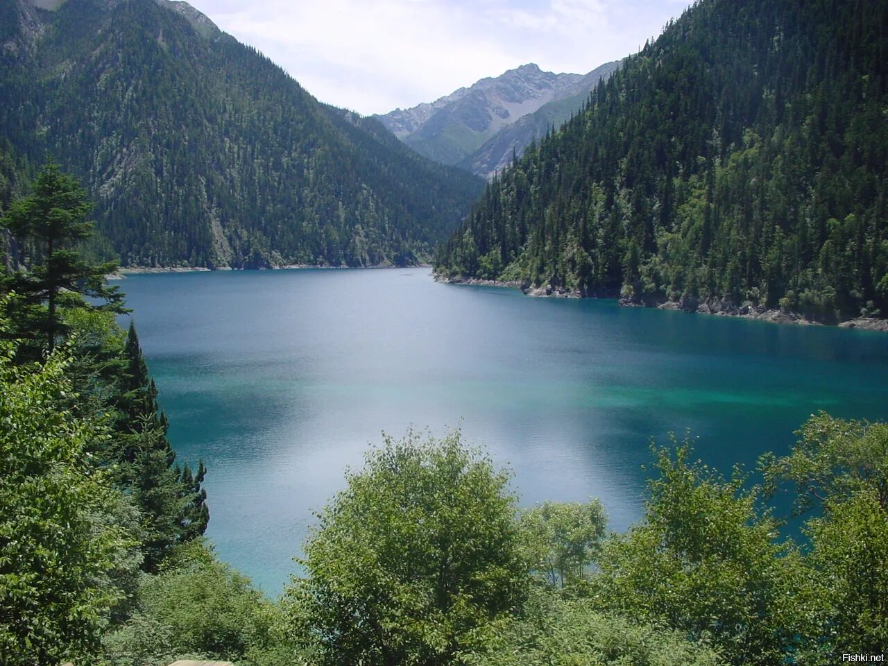 Дальний Восток река Амур. Реки России Амур. Реки дальнего Востока река Амур. Река Амур фото. Крупные реки дальнего востока россии