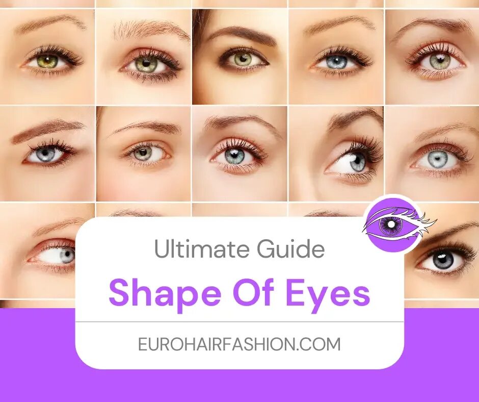 Eye Shape. Eye Shape Types. Different Shapes of Eyes. Perfect Eye Shape. Different eye