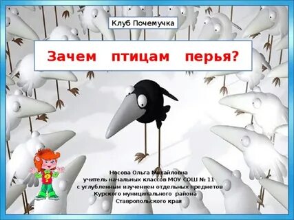 Перья помогают птицам