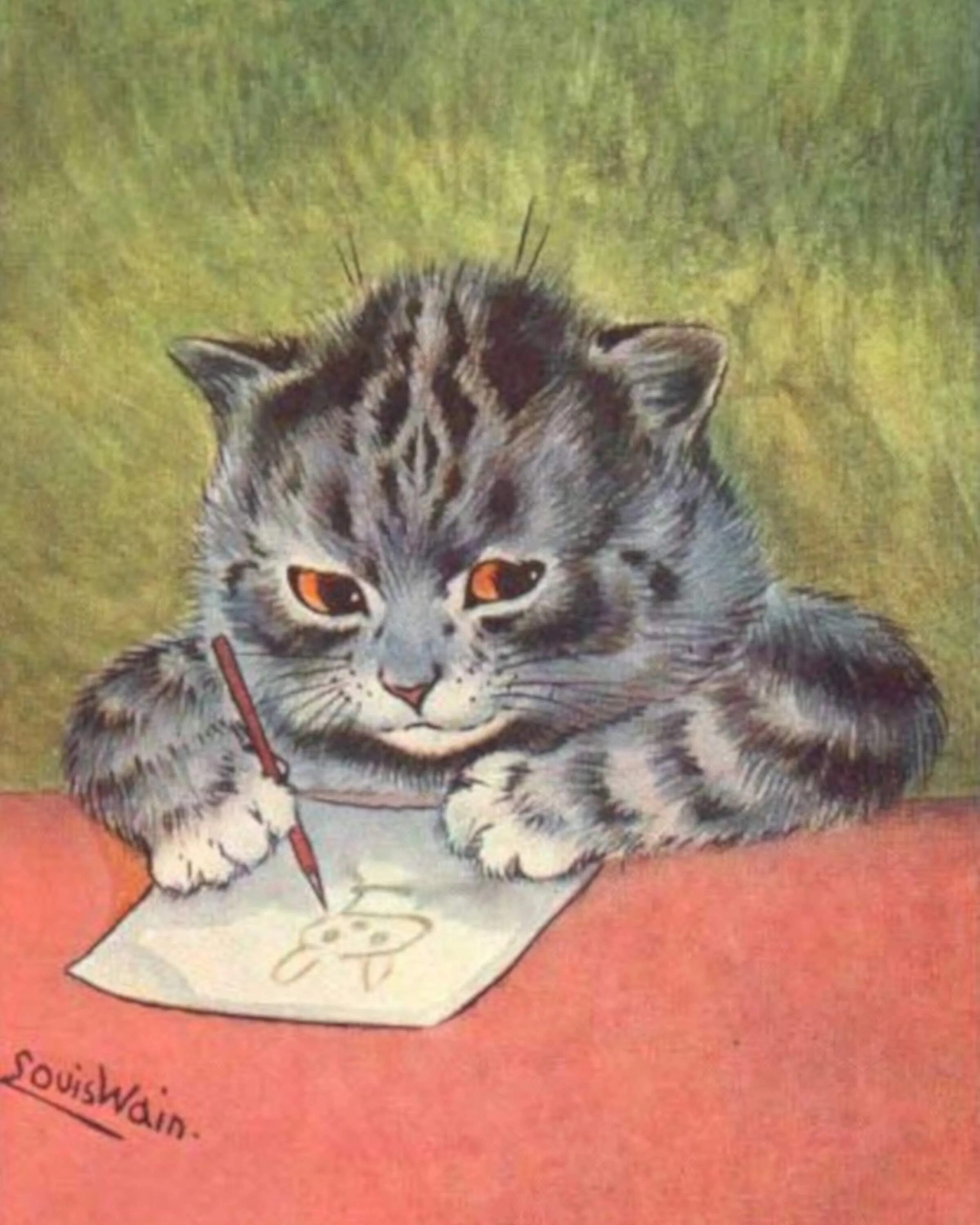 I m a cat