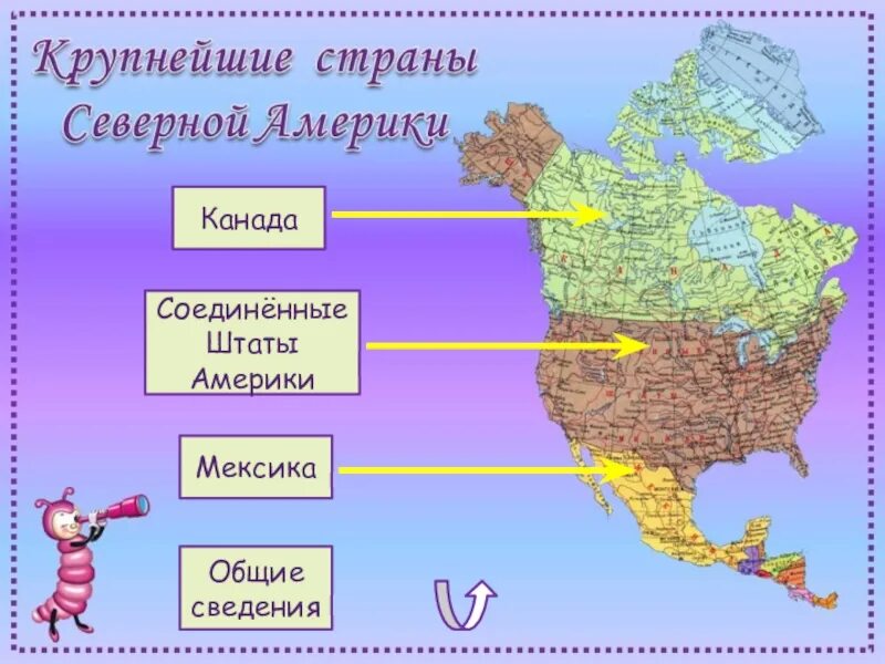 Назовите территории северной америки. Страны Северной Америки. Старня Северной Америки. Материк Северная Америка страны. Государства на материке Северная Америка.