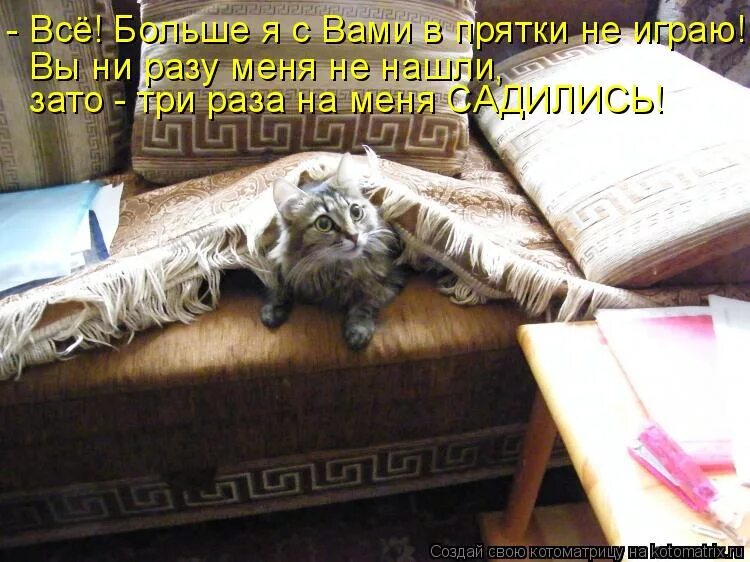 Нет уже закончила. Праздники еще не закончились. кот ищет хозяйку. а что праздники уже закончились. прятки прикол.