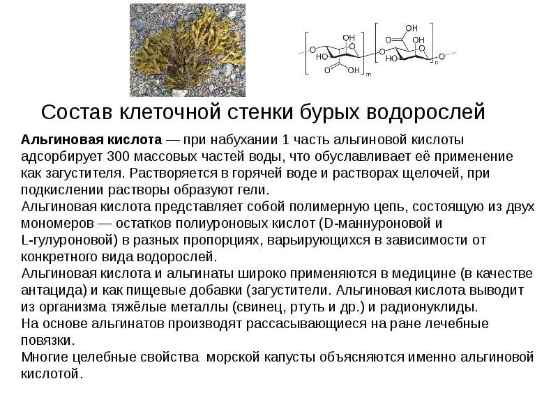 Водоросль содержит целлюлозу