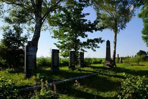 Воинское захоронение псковская область