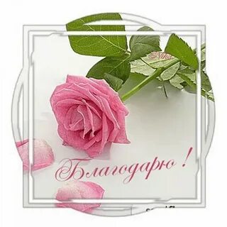 Отблагодарить смс