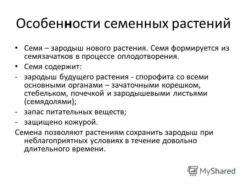 общая характеристика семенных растений. характеристика высших семенных растений. общие черты семенных растений. виды семенных растений.