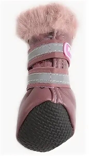 Boot fora