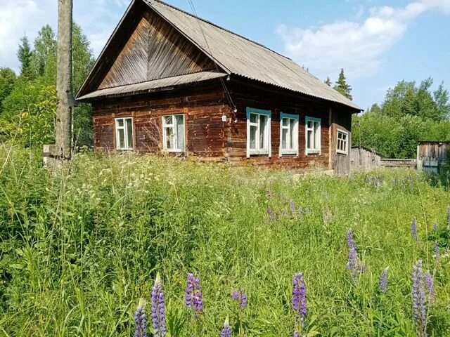 Погода в больших ошворцах на 10. Большие ошворцы фото. Погода в больших ошворцах на 10. Приют большие ошворцы. Храм троицы живоначальной село кекоран.