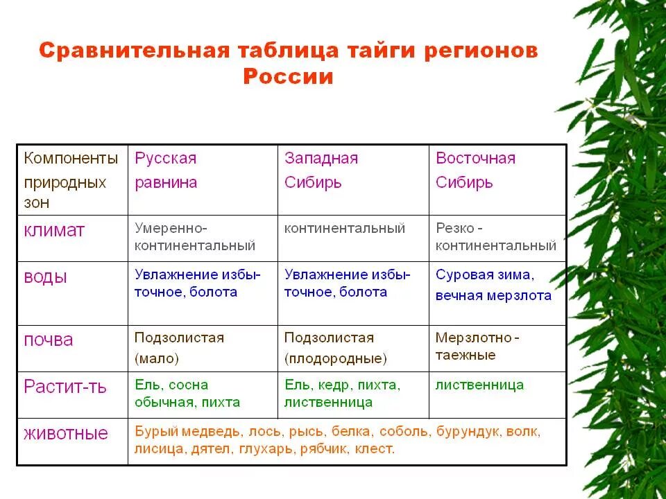 Условия формирования природных зон. Таблица по географии 8 класс леса россии таблица. таблица леса россии 8 класс география. растительность западной сибири таблица. природные зоны западной сибири таблица.