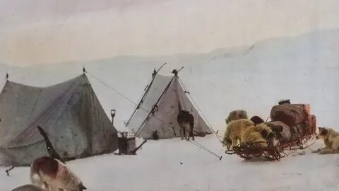 Исследователь арктики 5 букв