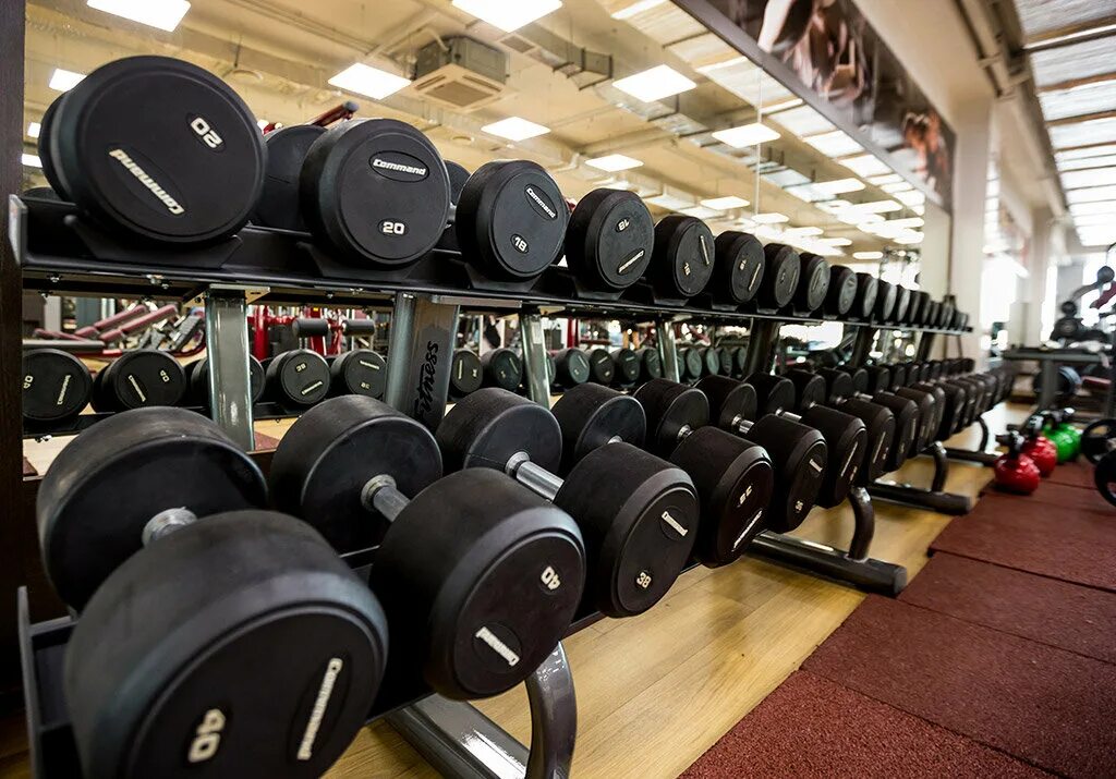 тренажерный зал славтэк нижневартовск. тренажерный зал славтэк нижневартовск. тренажерный зал нижневартовск. европа фитнес нижневартовск. спортивный зал нижневартовск.