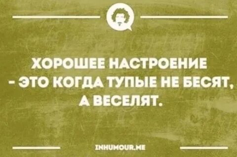 Бесят тупые