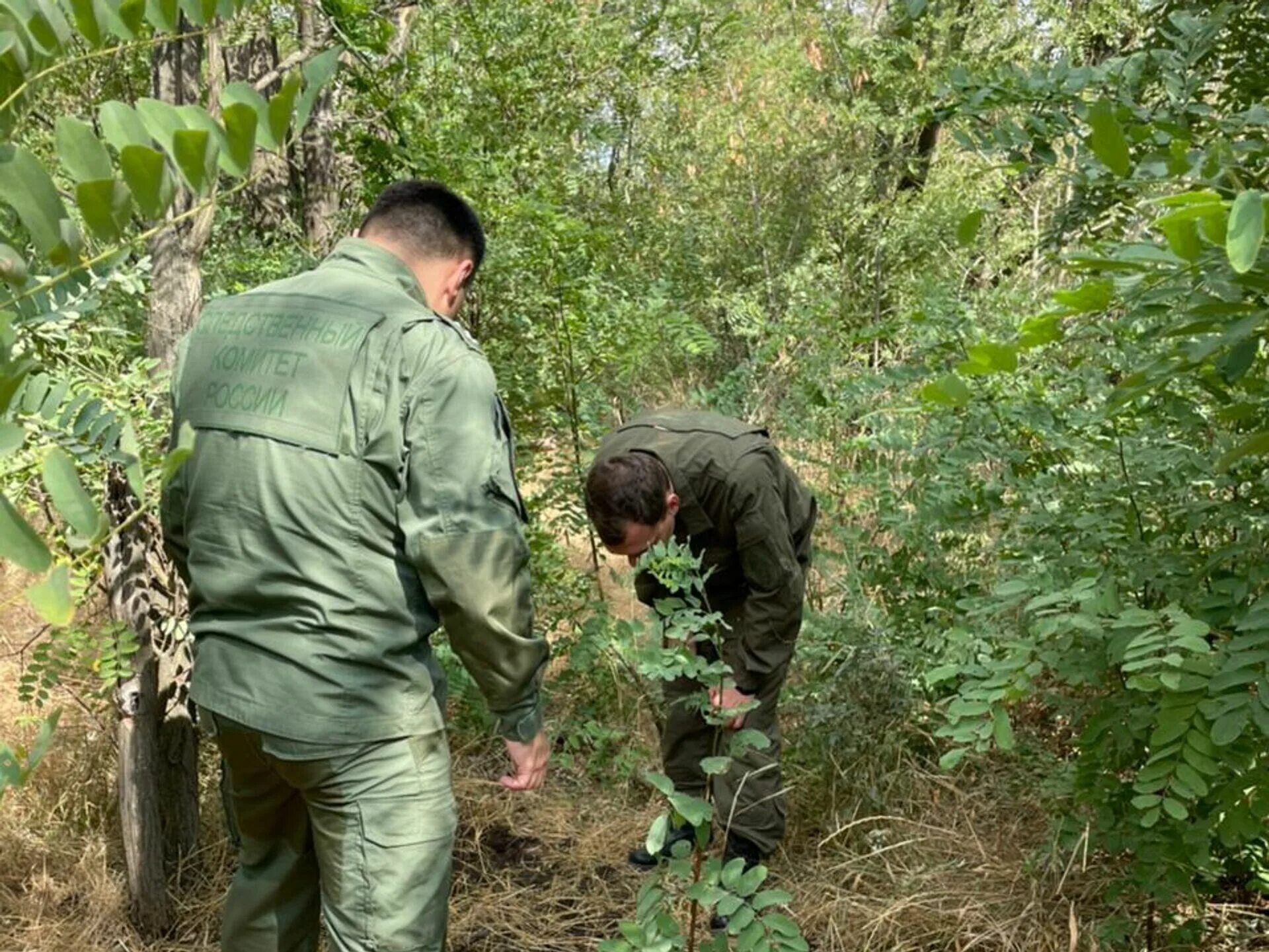 Нашли ли пропавшую девочку. Нашли тело девушки в лесополосе в ростове. лесополоса украина.