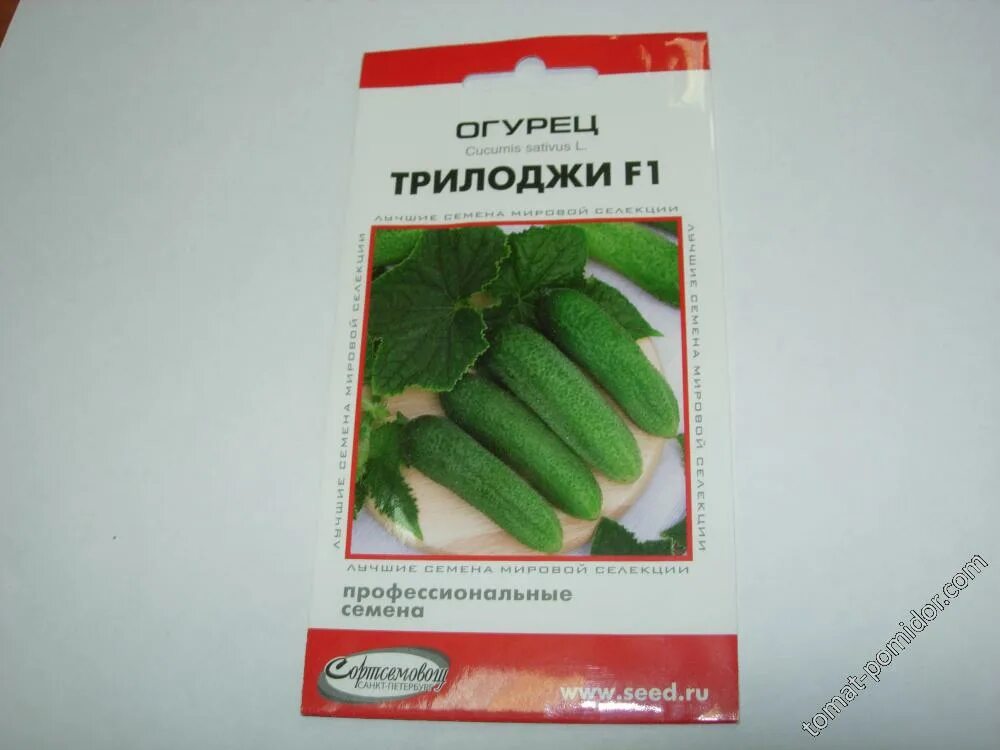 Семена огурцов трилоджи - купить по низкой цене на Яндекс Маркете