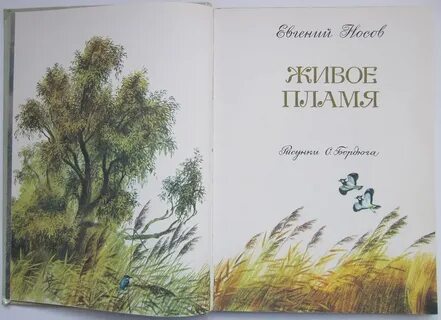 Носову живое пламя