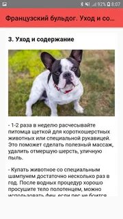 Содержание французский