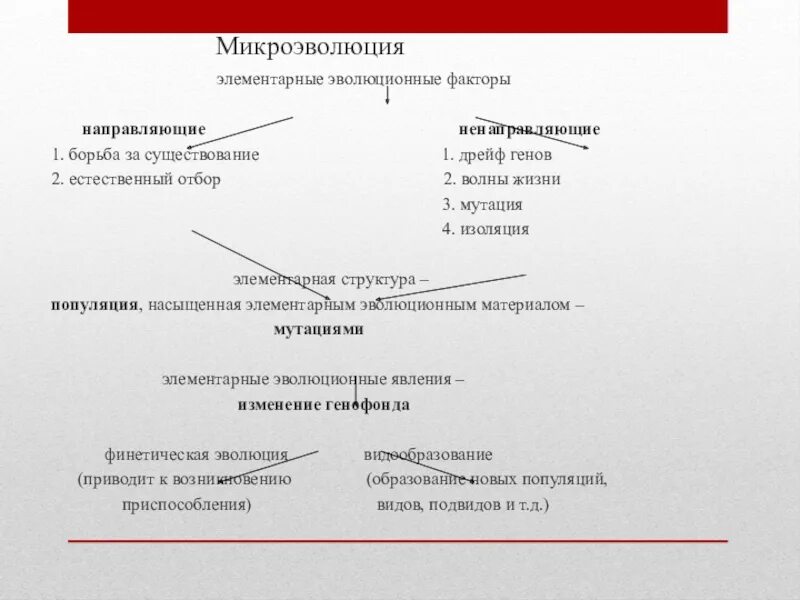 Микроэволюция дарвин. Микроэволюция дарвин