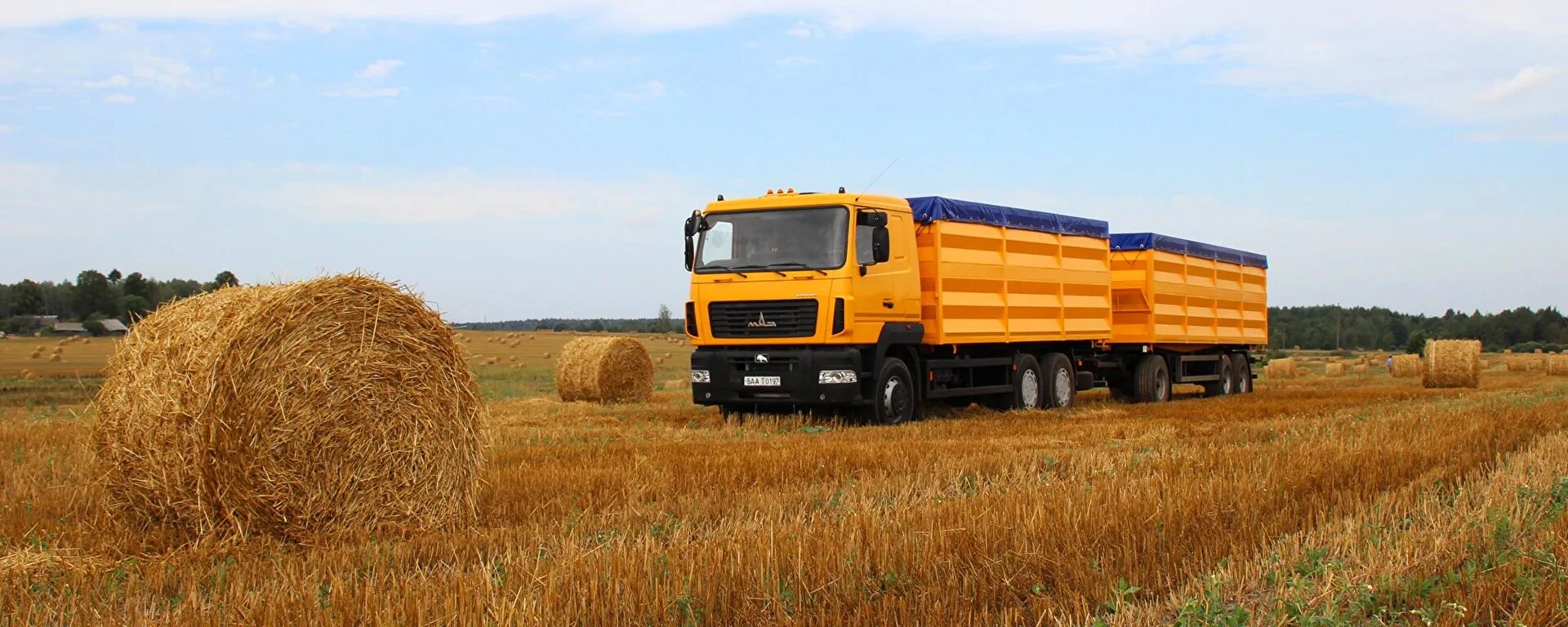 Маз 161 зерновоз. Камаз зерновоз 05 весовой контроль. Камаз 54117 зерновоз. Скания хт зерновоз. Камаз маз зерновозы.