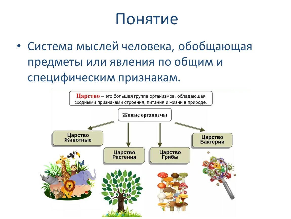 Царства определение для 3. Царства определение для 3