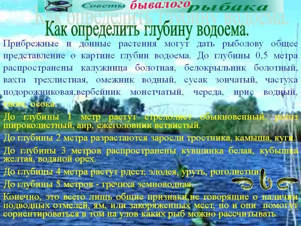 Как определить глубину водоема. Определение глубины водоема. Как измерить глубину пруда. Как измерить глубину водоема. Температура воды в пруду