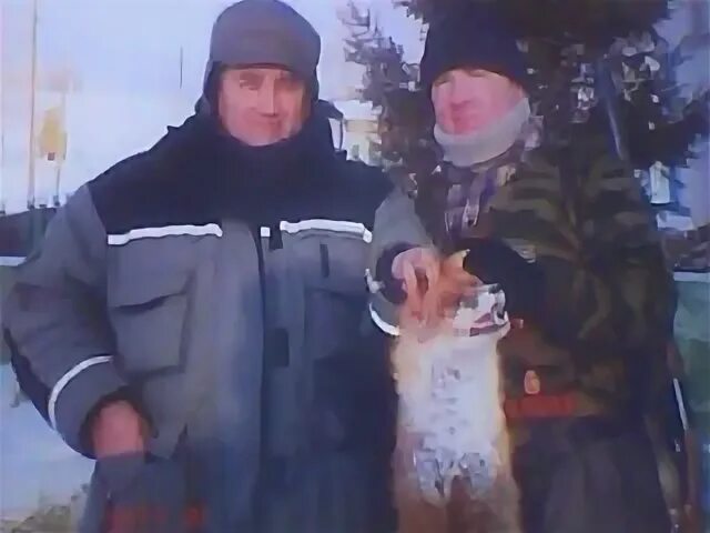 Таранов магнитогорск