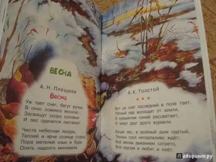 Юный лес теплых гроз