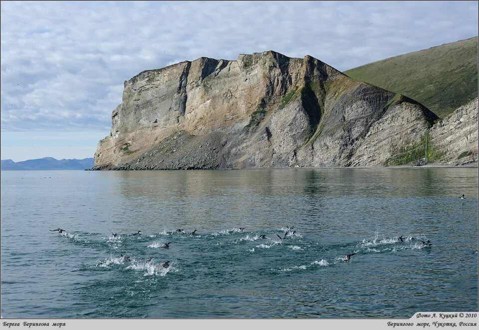 Берингово море. Берингово море на контурной карте. От балтийских берегов до берингова моря. Карта течений берингова моря. От балтийских берегов до берингова моря.