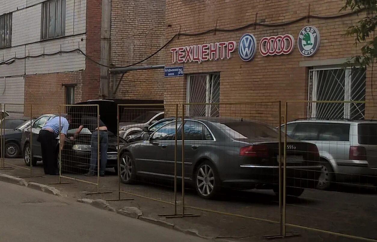 восточная синица голос. фото птенца синицы синицы. инавто алтуфьевское шоссе 31б. лео леопард большой леопард. дальневосточный леопард лео.